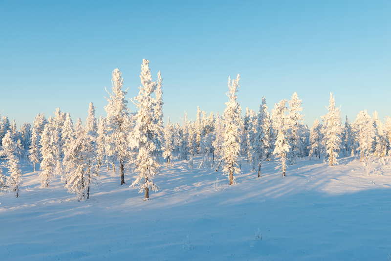 Imagen: Invierno en la traiga siberiana. Vladimir K. / Shutterstock